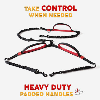 Exquisite Hands-Free Leash for Two Large Dogs – Perfect for Active Pet Owners – Comfortable, Durable & Ideal for Running, Walking, Hiking – Premium Dual Waist Lead with Bungee – Must-Have Dog Gear