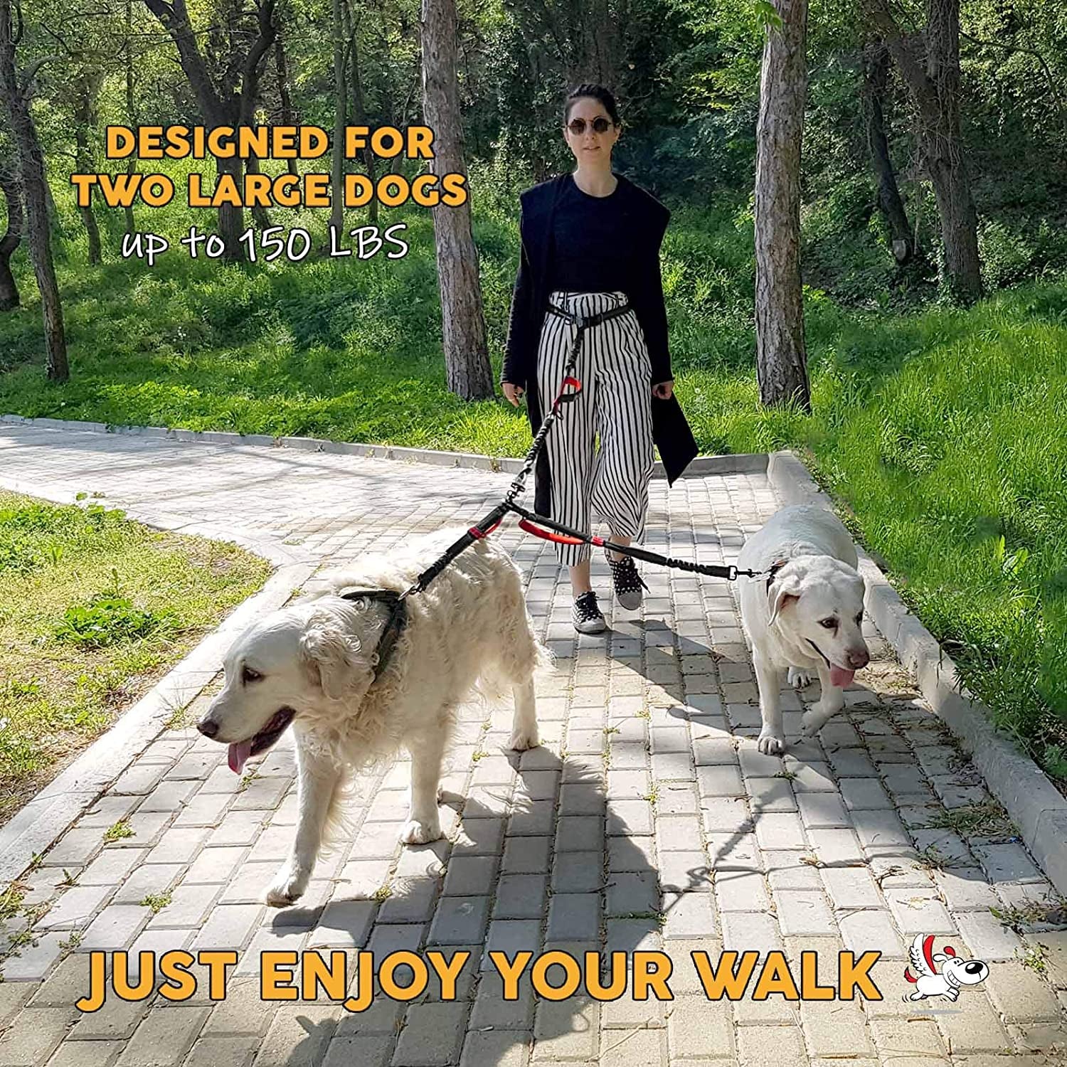 Exquisite Hands-Free Leash for Two Large Dogs – Perfect for Active Pet Owners – Comfortable, Durable & Ideal for Running, Walking, Hiking – Premium Dual Waist Lead with Bungee – Must-Have Dog Gear