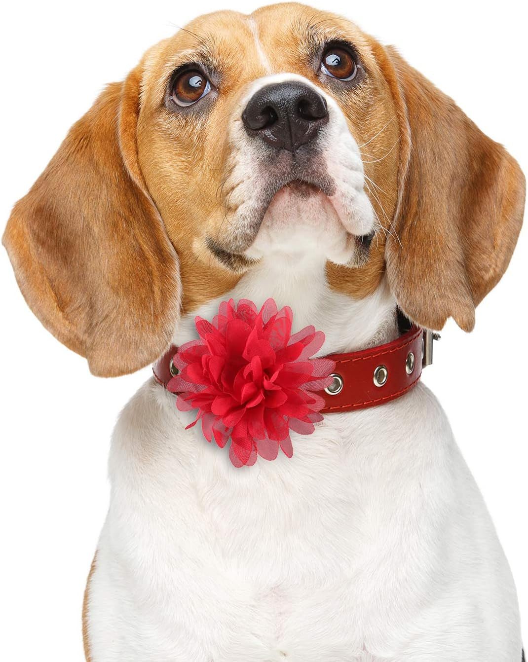 20 Pcs Pet Flower Collar Bow Dog Collar Dog Flower Accessory Multi Color Soft Chiffon Bow Tie Charms for Puppy Grooming Accessories(10 Cm/ 4 Inch)